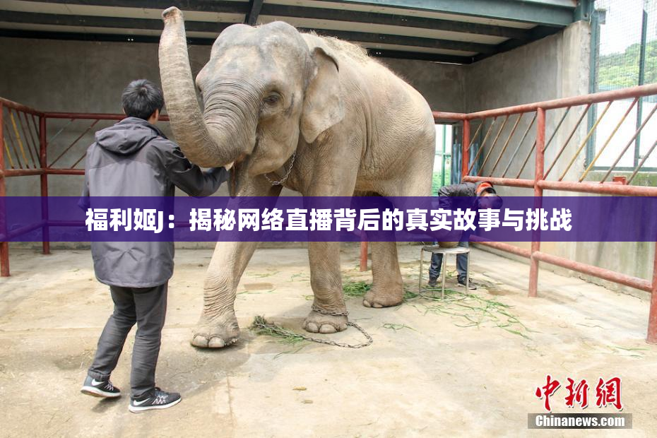 福利姬J：揭秘网络直播背后的真实故事与挑战
