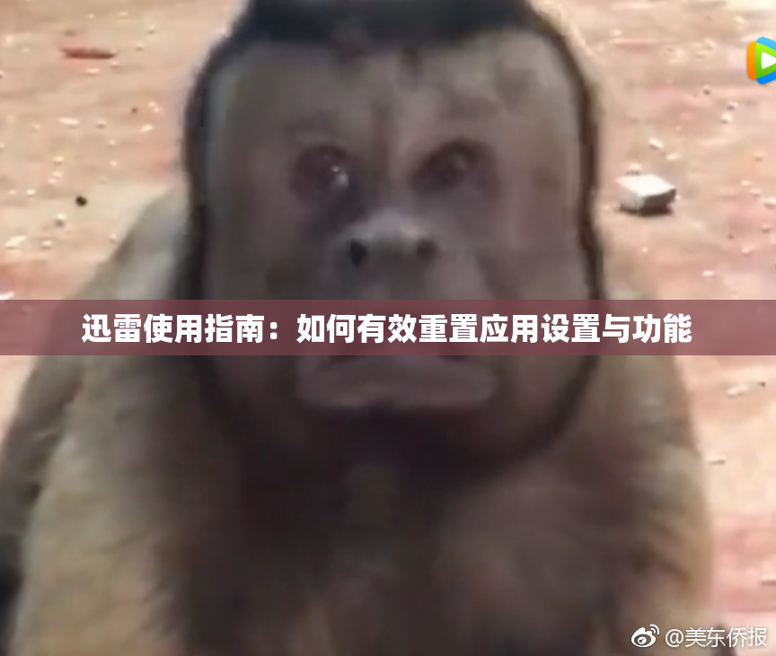 迅雷使用指南：如何有效重置应用设置与功能