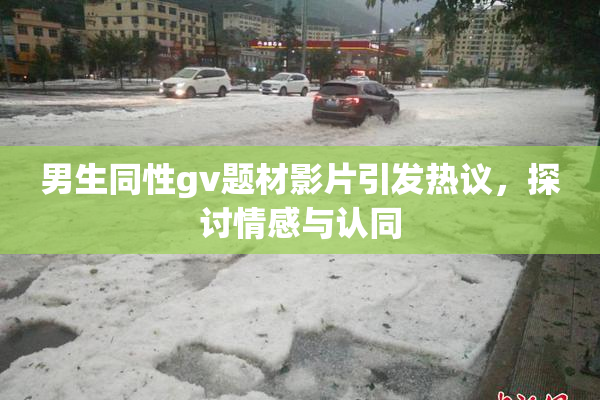 男生同性gv题材影片引发热议，探讨情感与认同