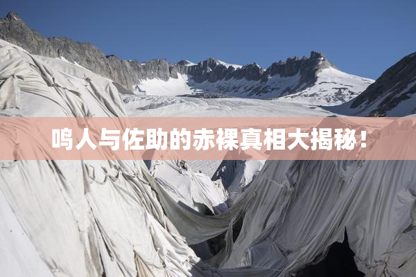 鸣人与佐助的赤裸真相大揭秘！