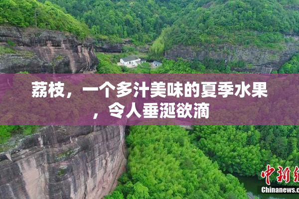 荔枝，一个多汁美味的夏季水果，令人垂涎欲滴