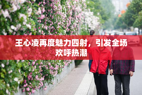 王心凌再度魅力四射，引发全场欢呼热潮