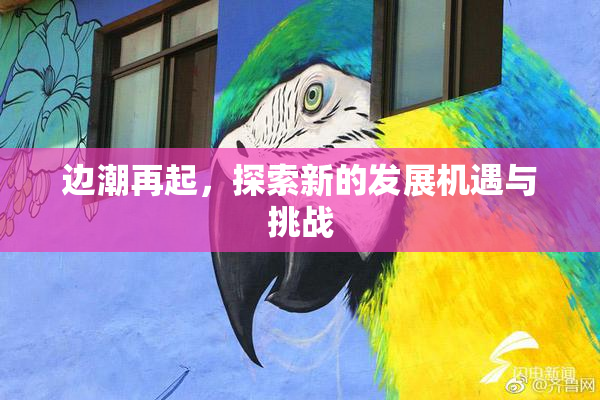 边潮再起，探索新的发展机遇与挑战