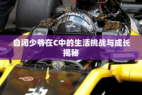 自闭少爷在C中的生活挑战与成长揭秘