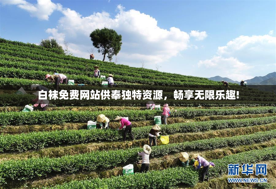 白袜免费网站供奉独特资源，畅享无限乐趣!