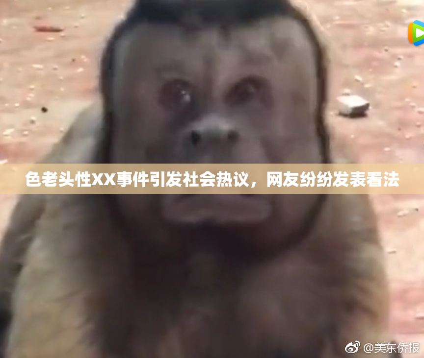 色老头性XX事件引发社会热议，网友纷纷发表看法