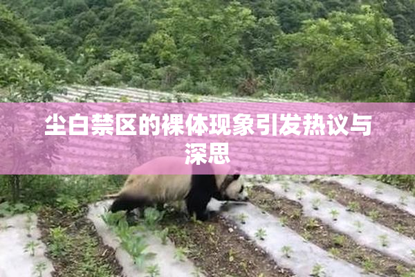 尘白禁区的裸体现象引发热议与深思