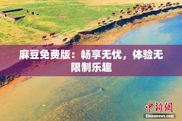 麻豆免费版：畅享无忧，体验无限制乐趣