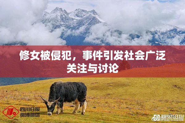 修女被侵犯，事件引发社会广泛关注与讨论