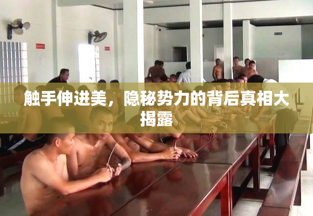触手伸进美，隐秘势力的背后真相大揭露