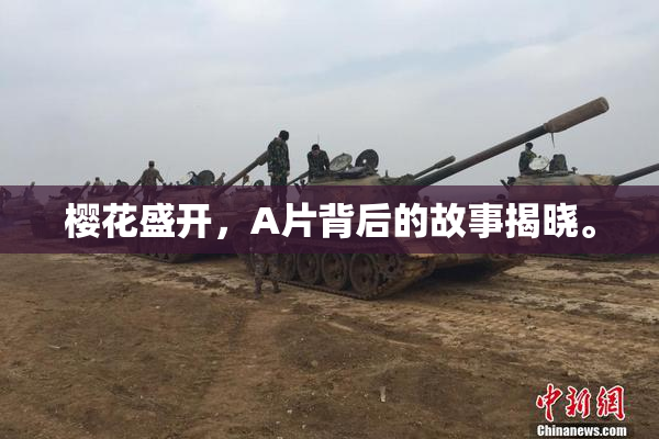 樱花盛开，A片背后的故事揭晓。