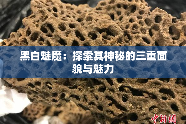 黑白魅魔：探索其神秘的三重面貌与魅力