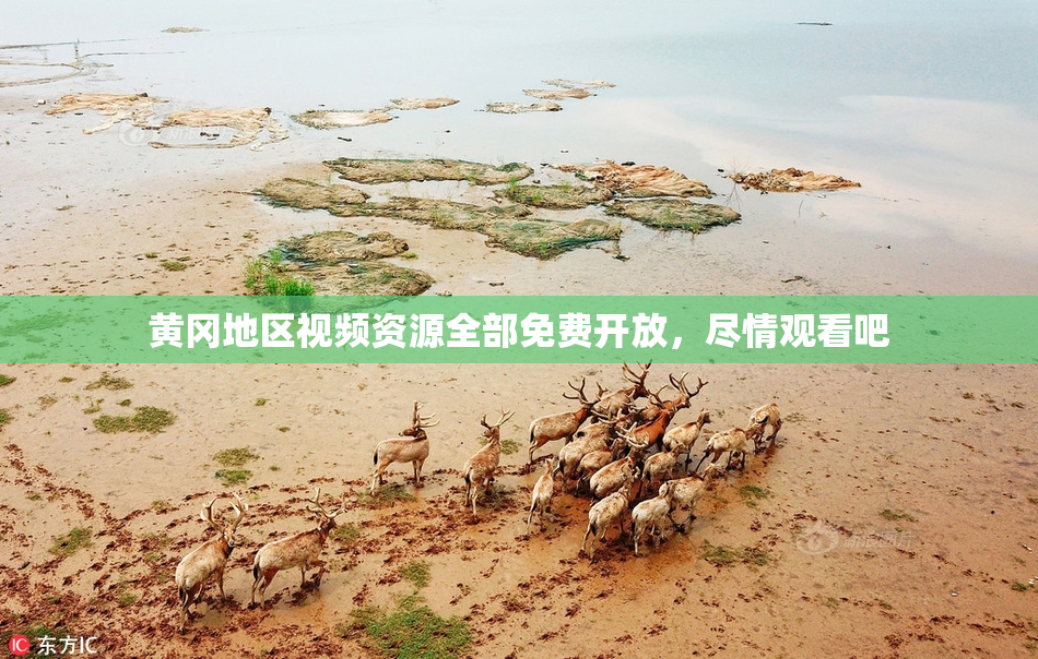 黄冈地区视频资源全部免费开放，尽情观看吧