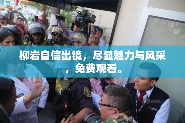 柳岩自信出镜，尽显魅力与风采，免费观看。