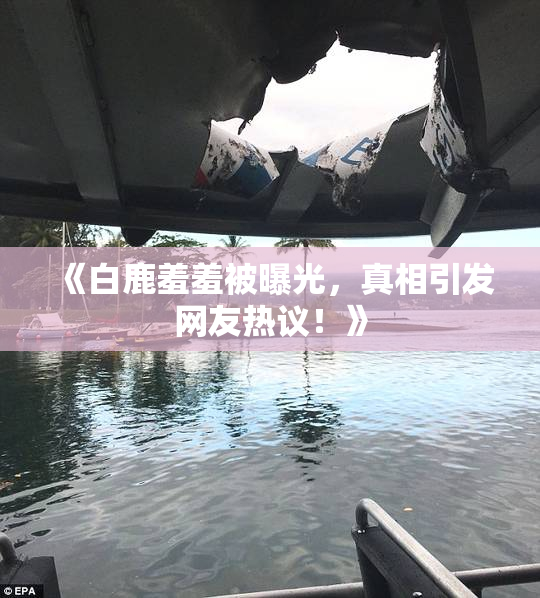 《白鹿羞羞被曝光，真相引发网友热议！》