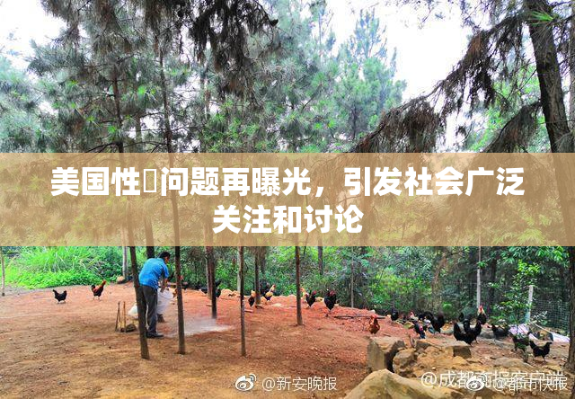 美国性婬问题再曝光，引发社会广泛关注和讨论