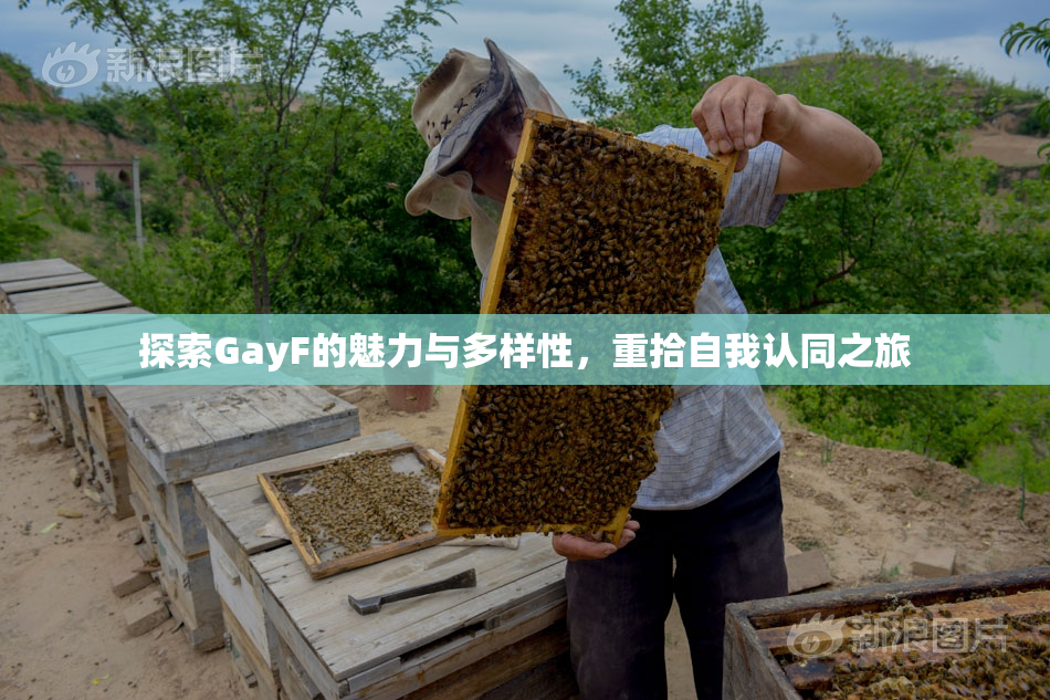 探索GayF的魅力与多样性，重拾自我认同之旅