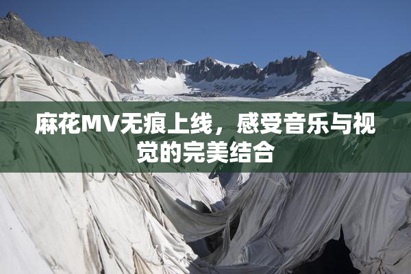 麻花MV无痕上线，感受音乐与视觉的完美结合