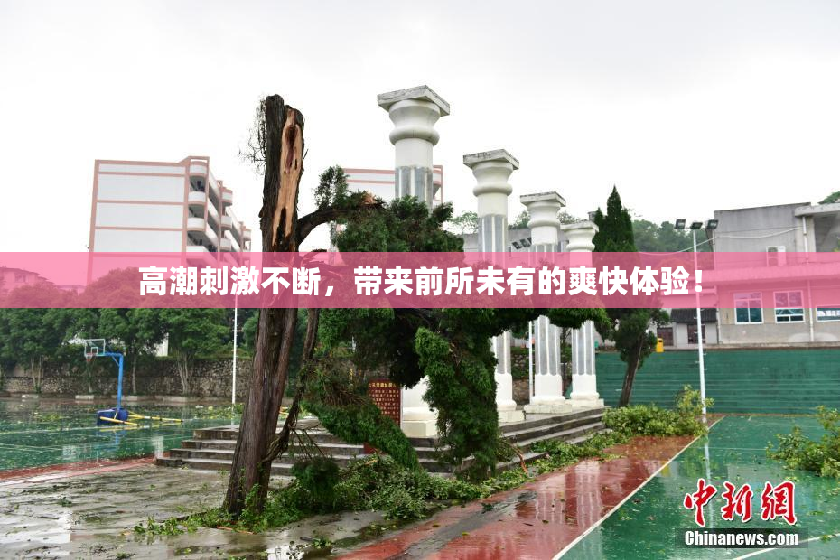 高潮刺激不断，带来前所未有的爽快体验！