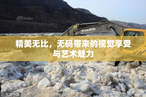 精美无比，无码带来的视觉享受与艺术魅力