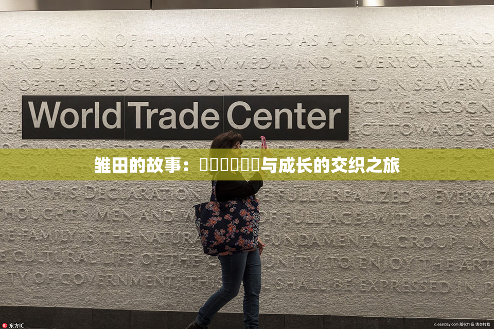 雏田的故事：❌‌❌‌❌‌与成长的交织之旅