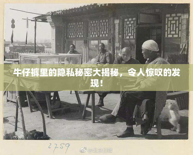 牛仔裤里的隐私秘密大揭秘，令人惊叹的发现！