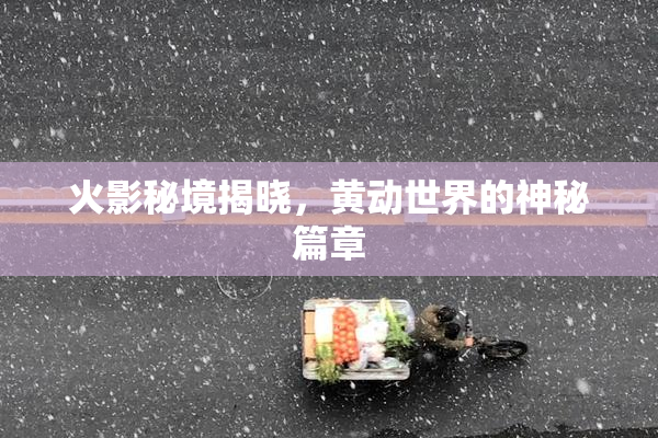 火影秘境揭晓，黄动世界的神秘篇章