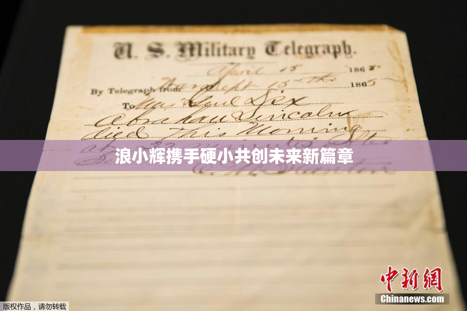 浪小辉携手硬小共创未来新篇章