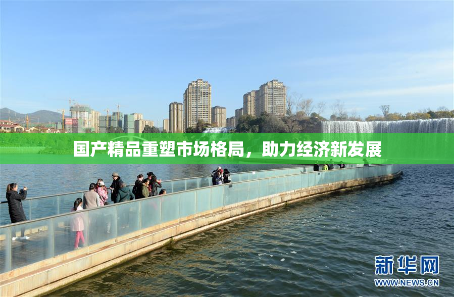 国产精品重塑市场格局，助力经济新发展