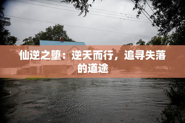 仙逆之堕：逆天而行，追寻失落的道途