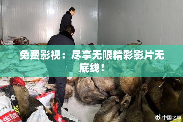 免费影视：尽享无限精彩影片无底线！