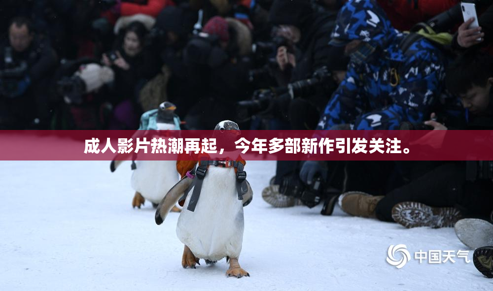 成人影片热潮再起，今年多部新作引发关注。