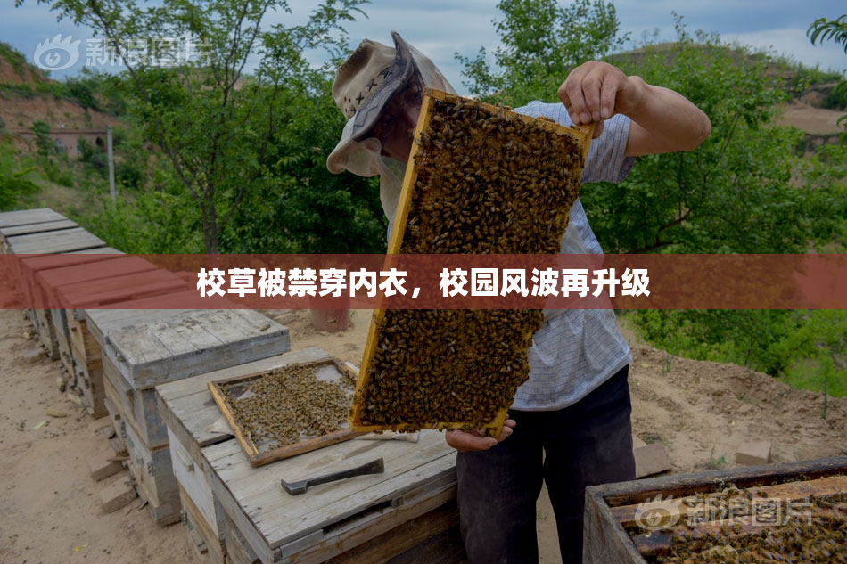 校草被禁穿内衣，校园风波再升级