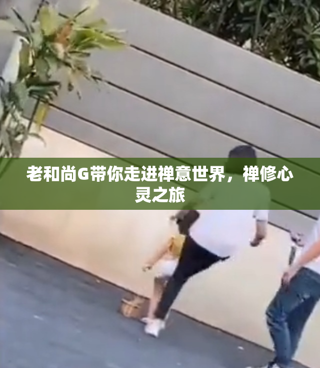 老和尚G带你走进禅意世界，禅修心灵之旅