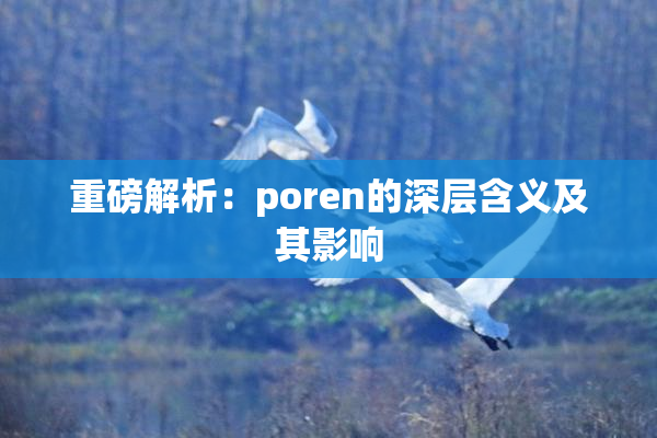 重磅解析：poren的深层含义及其影响
