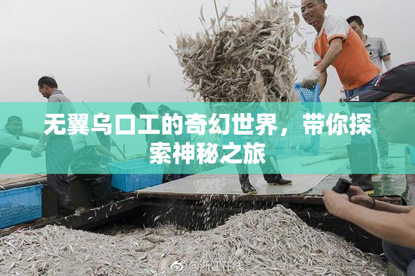 无翼乌口工的奇幻世界，带你探索神秘之旅