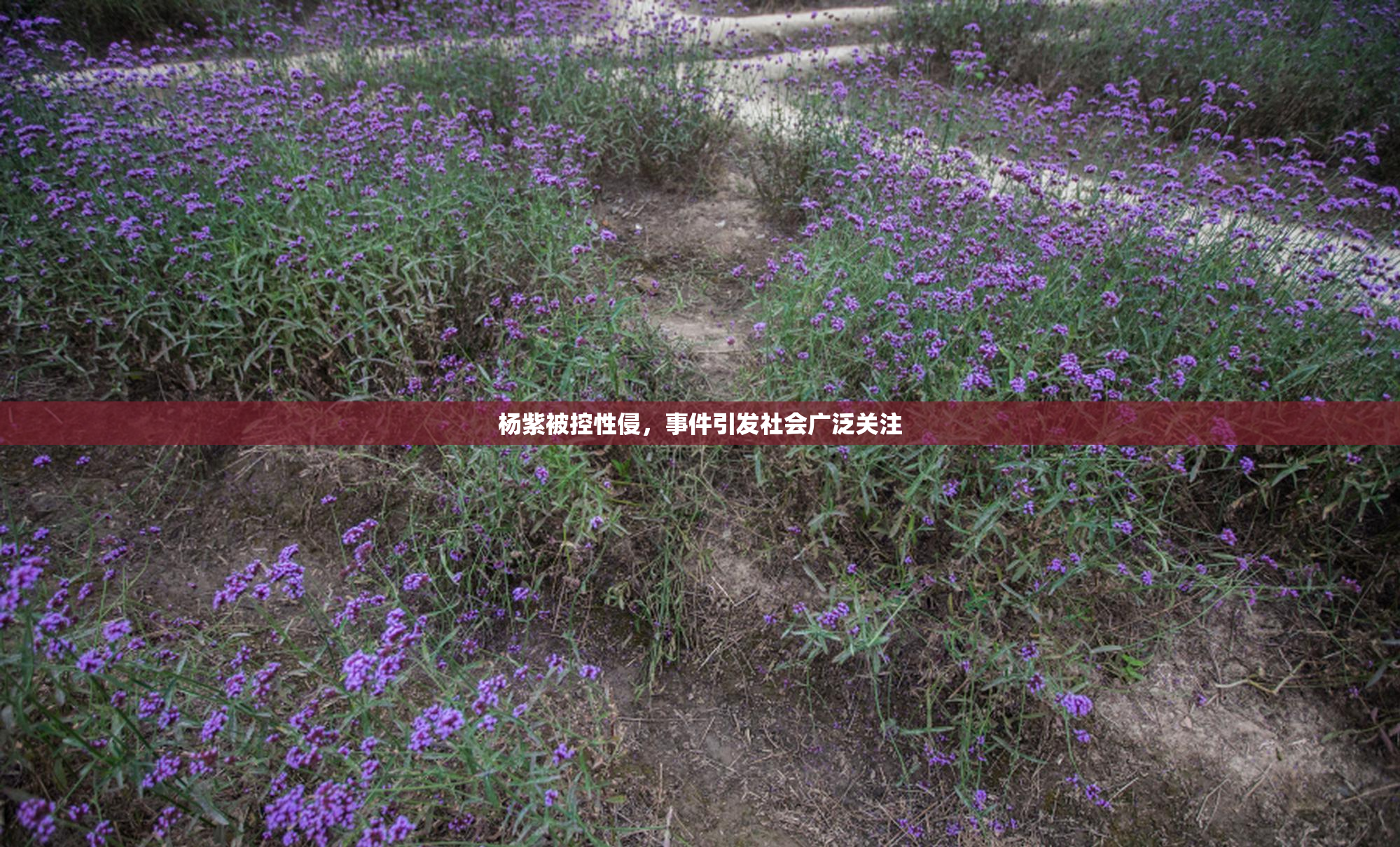 杨紫被控性侵，事件引发社会广泛关注
