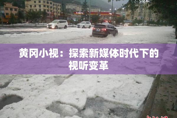 黄冈小视：探索新媒体时代下的视听变革