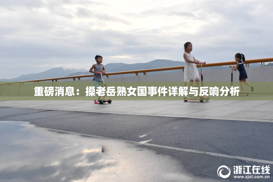 重磅消息：搡老岳熟女国事件详解与反响分析