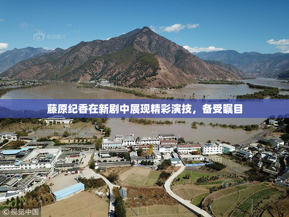 藤原纪香在新剧中展现精彩演技，备受瞩目