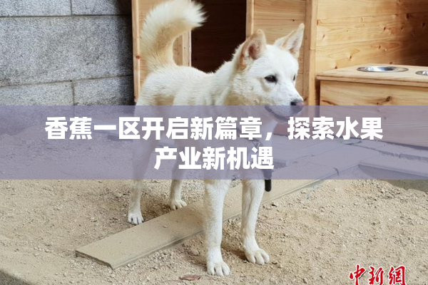 香蕉一区开启新篇章，探索水果产业新机遇