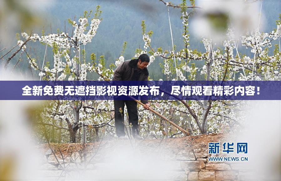 全新免费无遮挡影视资源发布，尽情观看精彩内容！