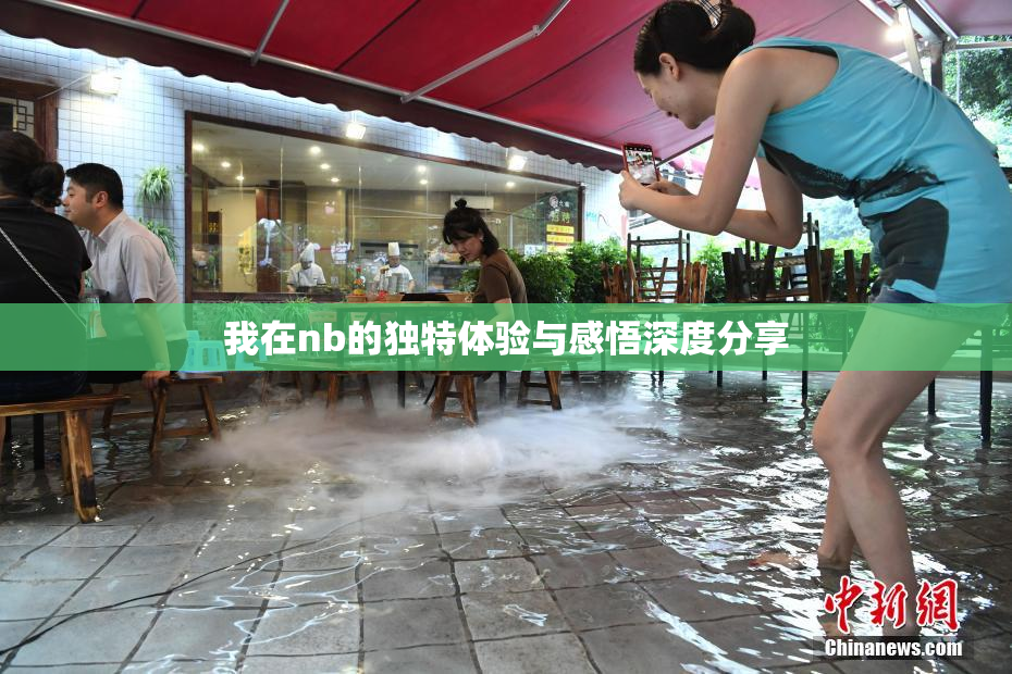 我在nb的独特体验与感悟深度分享