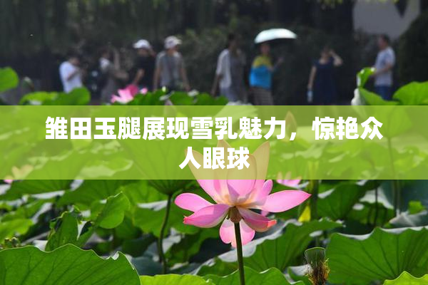 雏田玉腿展现雪乳魅力，惊艳众人眼球