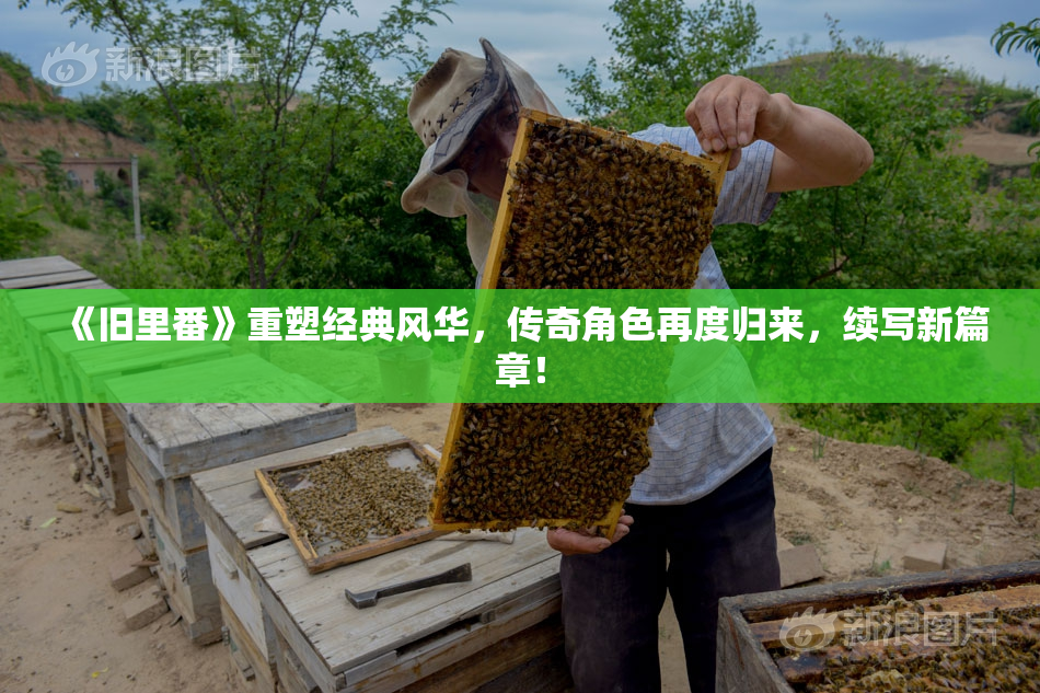 《旧里番》重塑经典风华，传奇角色再度归来，续写新篇章！