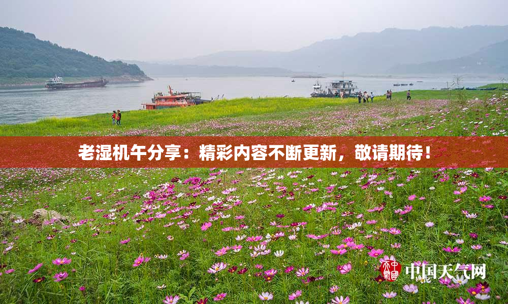 老湿机午分享：精彩内容不断更新，敬请期待！