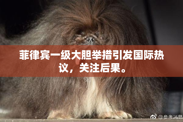 菲律宾一级大胆举措引发国际热议，关注后果。