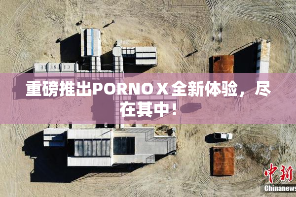 重磅推出PORNOⅩ全新体验，尽在其中！