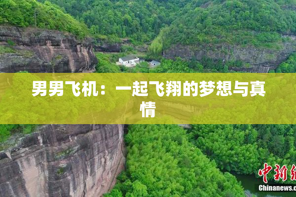 男男飞机：一起飞翔的梦想与真情