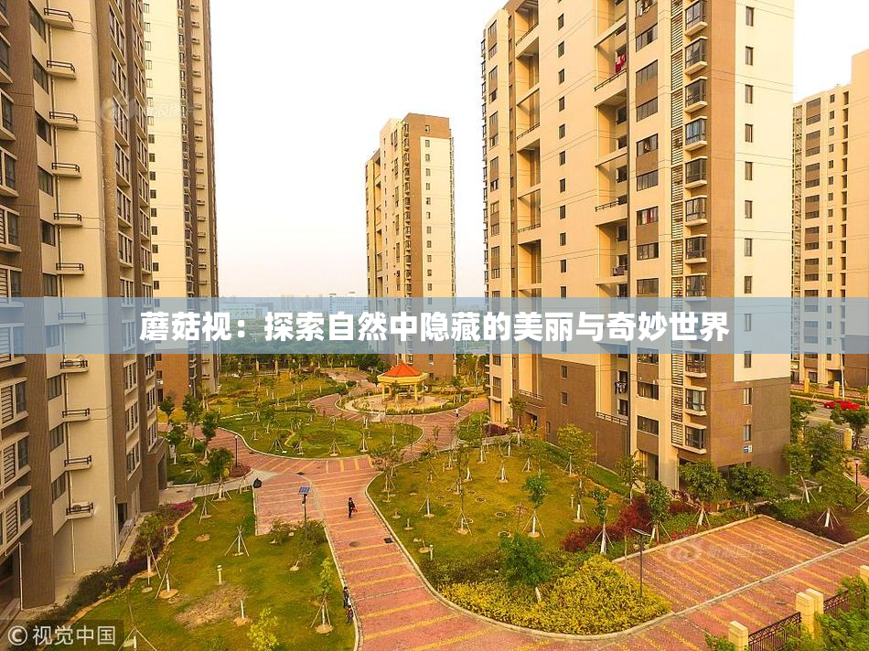 蘑菇视：探索自然中隐藏的美丽与奇妙世界